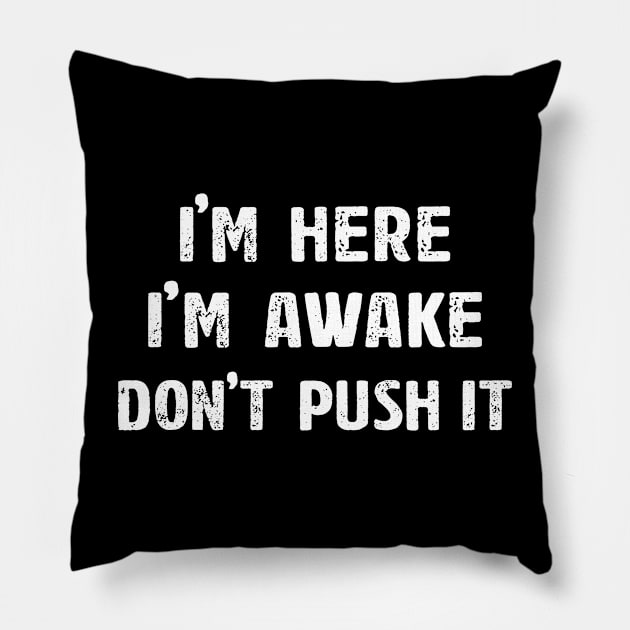 I'm here I'm awake don't push it Pillow by Fun Planet