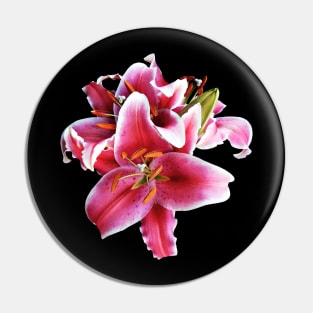 Lilies - Cluster of Stargazer Lilies Pin