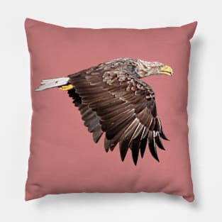 White Tailed Eagle Pillow