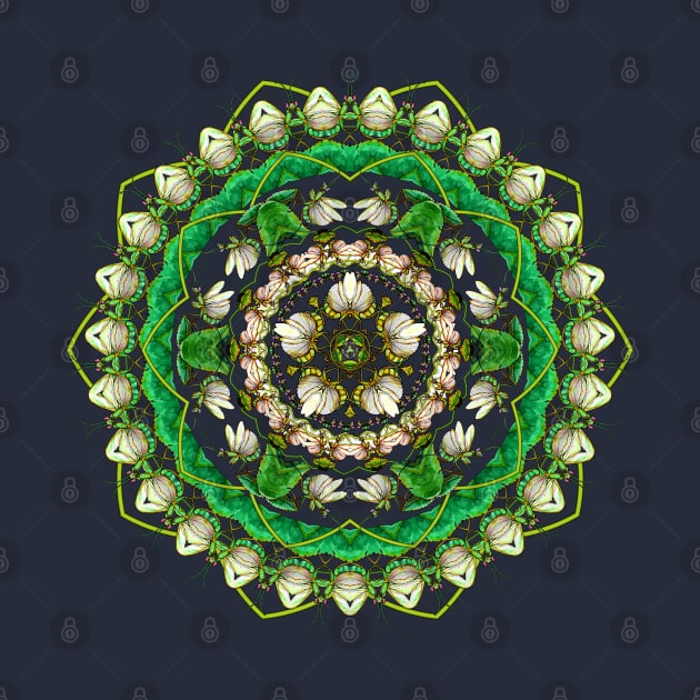 Mantis Mandala by ThisIsNotAnImageOfLoss