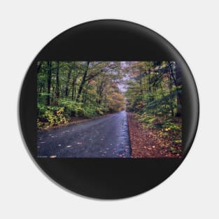 Road Through Autumn Pin