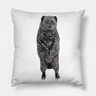 Dwarf mongoose Pillow