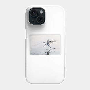 Great Egret bird starting to fly from lake Phone Case