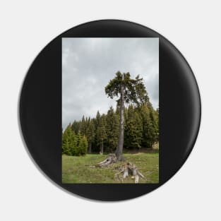 View from Bucegi mountains, Romania, Bucegi National Park Pin