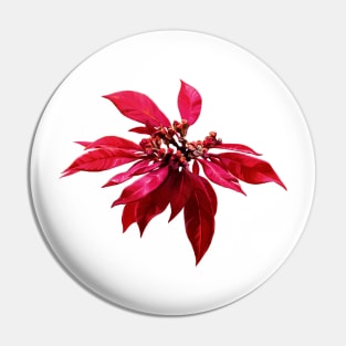 Poinsettia Painting Pin