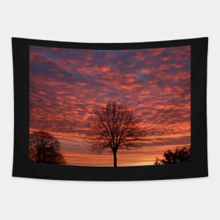 A glorious sunrise Tapestry