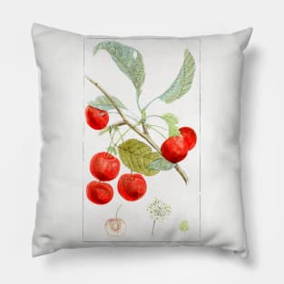 Hand drawn red cherries Pillow