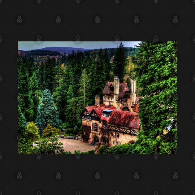 Cragside Northumberland #3 by axp7884