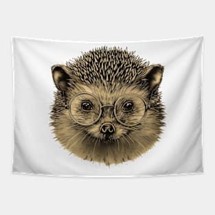 Spikes and Specs: The Hedgehog Scholar Tapestry