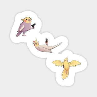 Birds with Guns Magnet