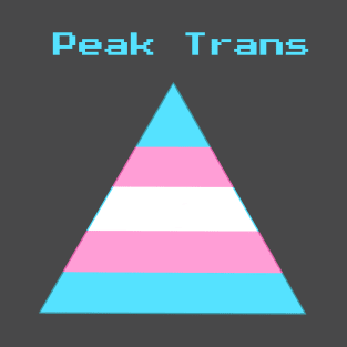 Peak Trans T-Shirt