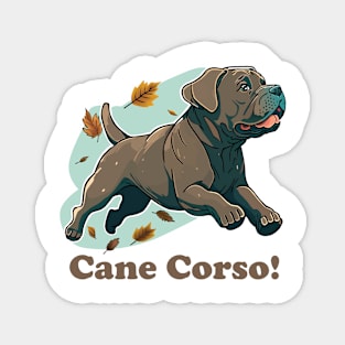 Cane Corso! Magnet