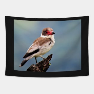 Exotic White Bird in Central America Photography Tapestry