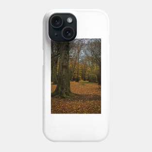 Autumn woodland walk Phone Case