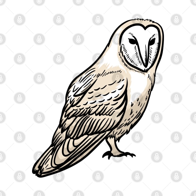 Barn Owl by Sticker Steve