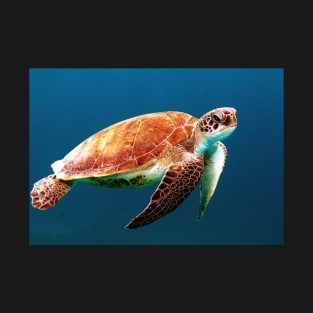 Sea turtle T-Shirt