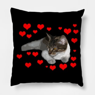 i love my cat Pillow