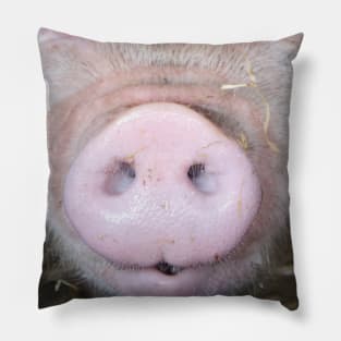 Pig Snout Hog Face Pillow