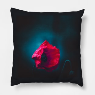 Night Poppy Pillow