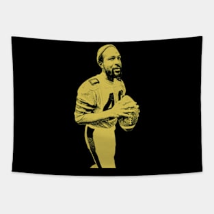 MARVIN GAYE BASEBALL PLAYER Tapestry