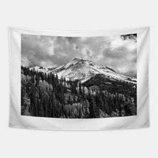 Red Mountain Snow Tapestry