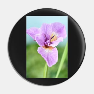 Iris Pin