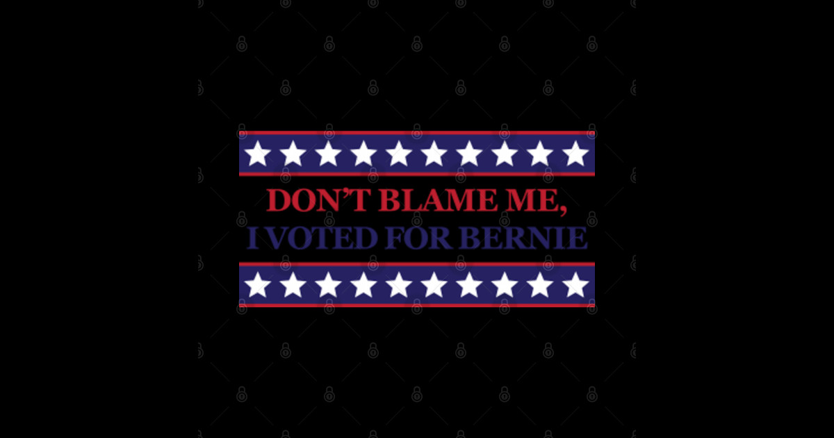 Dont Blame Me I Voted For Bernie Bernie Sanders T Shirt Teepublic 