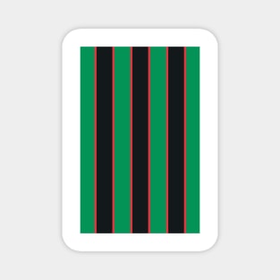 Villa Retro 1993 - 95 Green Black and Red Striped Magnet