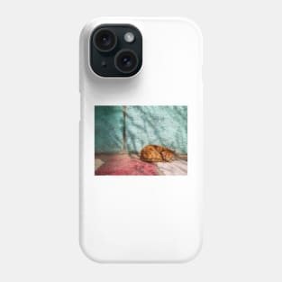 Cat orange sleep (naps) Phone Case