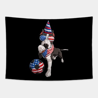 USA Flag American Soccer 2022 Pride Proud Support Squad Tapestry