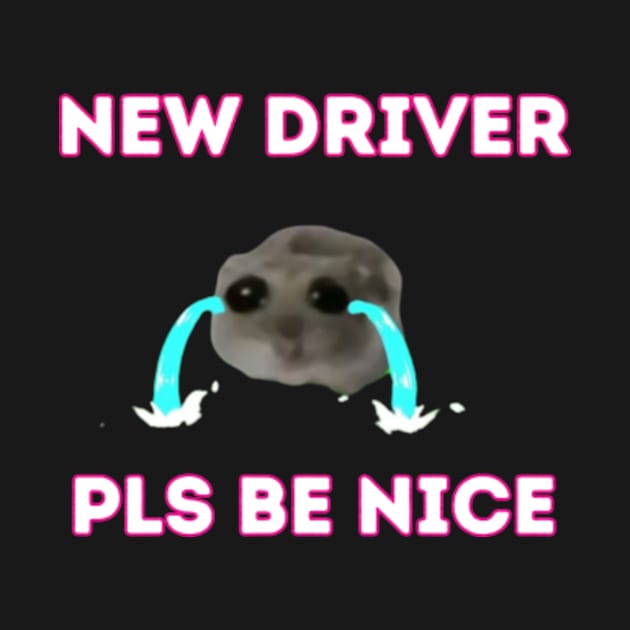 New-Driver-Pls-Be-Nice by Alexa