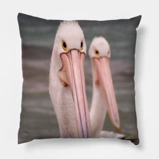 A Pair of Pelicans Pillow