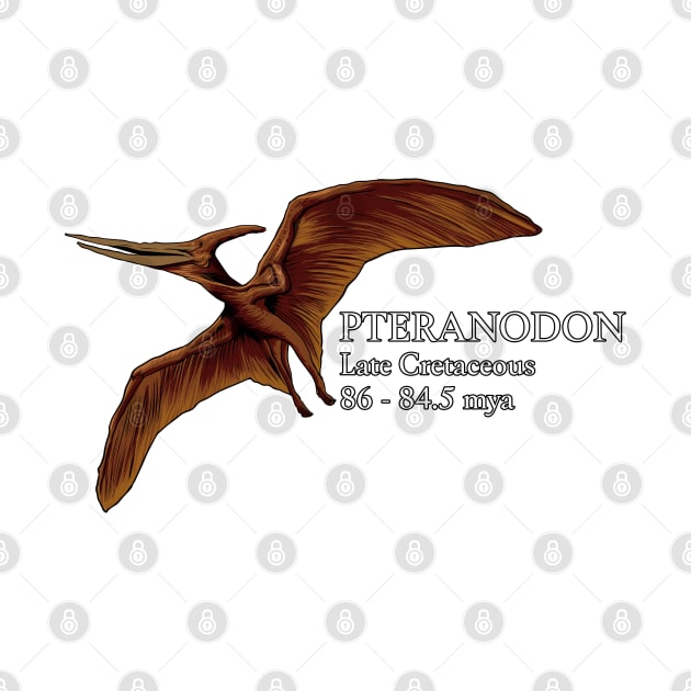 Realistic drawing of the Pteranodon by Modern Medieval Design