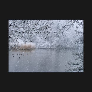 Snowy duck pond - Hampden Park, Eastbourne T-Shirt