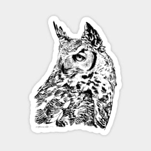 Great Horned Owl Portrait Black and White Magnet