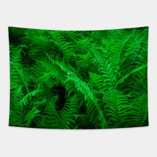 Rain Forest Tapestry