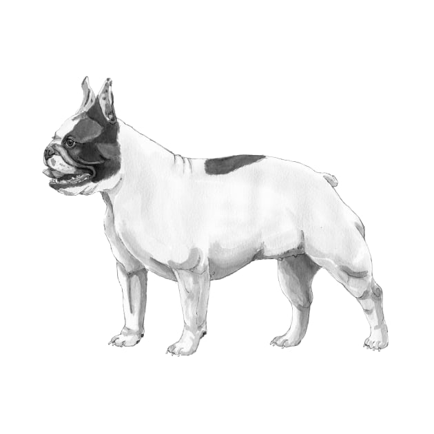 French Bulldog by doggyshop