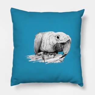 Macaw Pillow