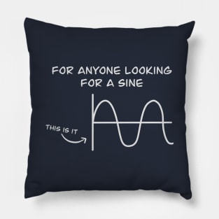 Sine Seekers Pillow