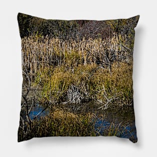 Urban park in the fall Pillow