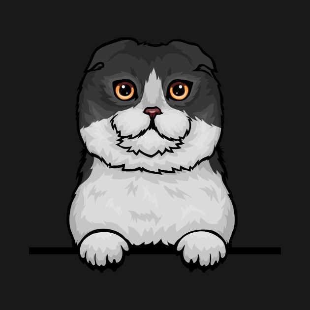 Scottish Fold Cat by mankjchi