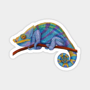 Panther Chameleon Magnet