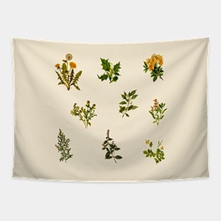 Vintage Botanical pack Tapestry