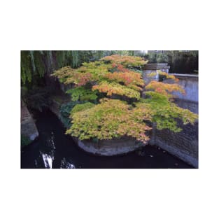 Pond at Christ Church College, Oxford, UK T-Shirt