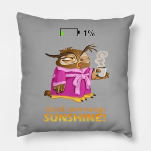 Good morning, sunshine! Pillow