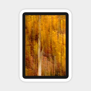 Autumn abstract Magnet