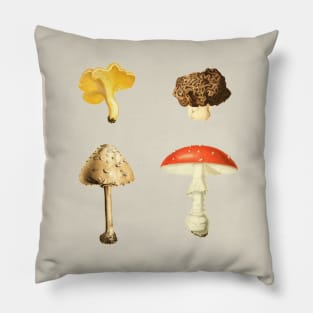 Autumn Mushrooms - 4 Vintage Mushroom Illustrations Pillow