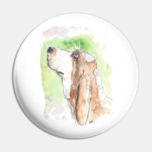 Bassett Hound drawing Pin