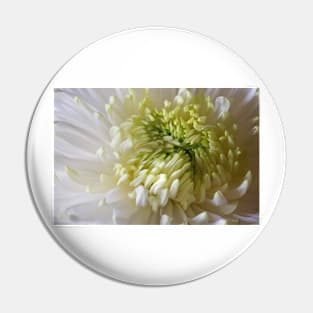 Classic Chrysanthemum Pin