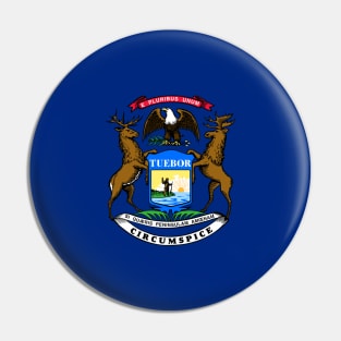 Flag of Michigan Pin